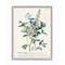 Stupell Industries Botanical Plant Illustration Wall Art in Gray Frame